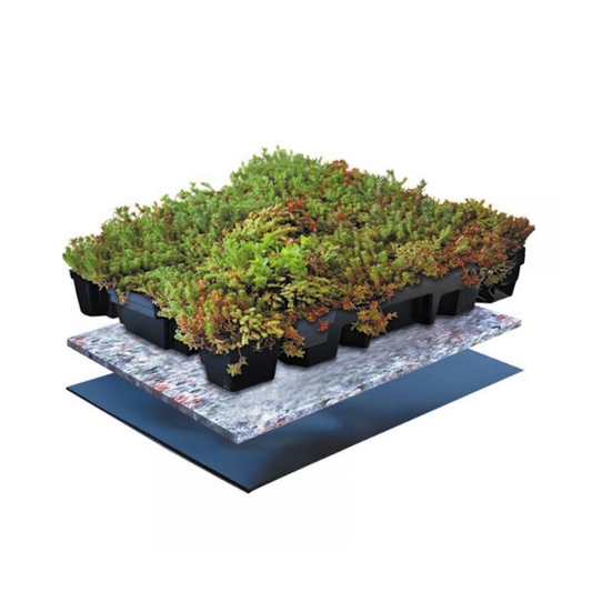 Sedum cassettes v.a. 5 m2