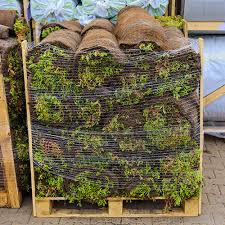 Sedum pakket v.a. 5 m2